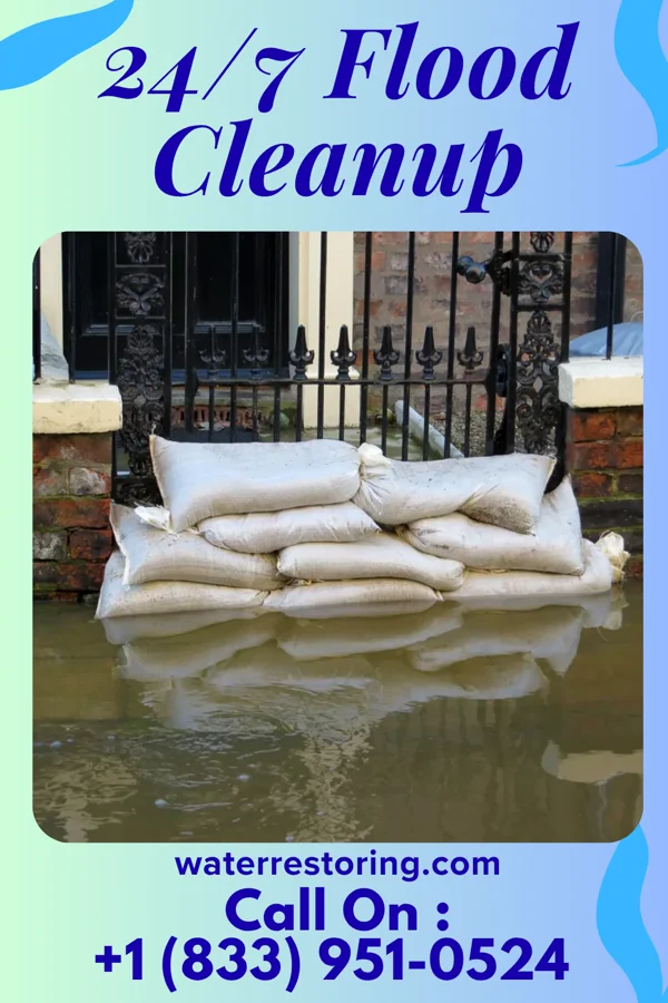 24/7 Flood Cleanup in New Auburn, MN